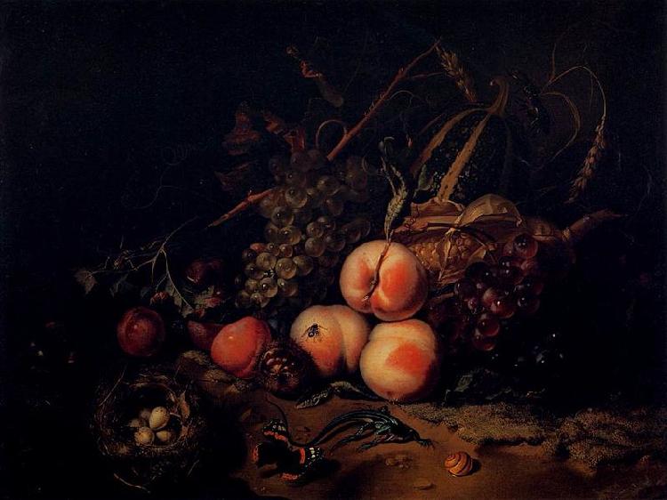 Rachel Ruysch Still-Life with Fruit and Insects oil painting picture